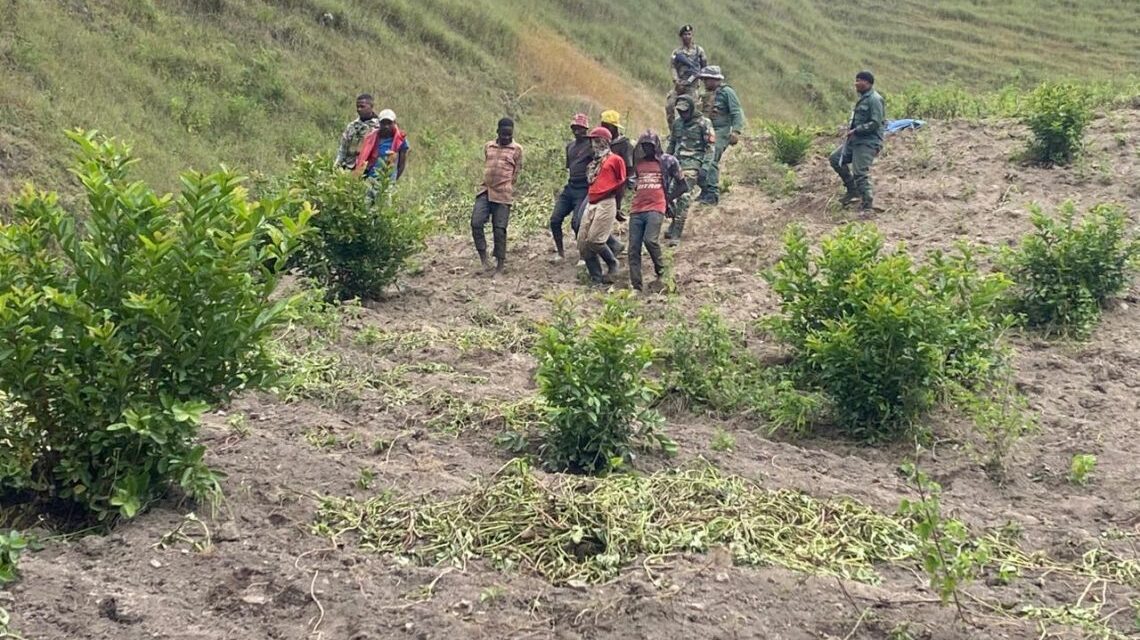 13 haitianos arrestados por violaciones ambientales en el Parque Nacional