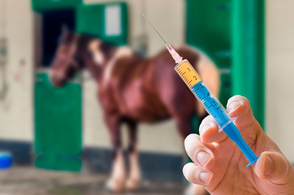 Aplicar a deportistas fármacos anabólicos diseñados para animales es un delito, advierten expertos
