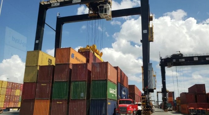 Las exportaciones agrícolas aumentan un 36,9% interanual