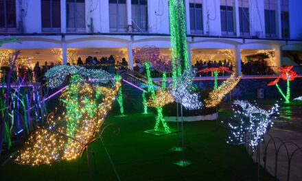 Alcalde de Santiago celebra visitante número 100.000 en entretenimiento navideña del Bosque Encantado