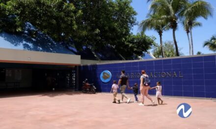 El Acuario Nacional reabre al conocido a posteriori de un año de renovaciones