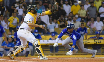 Licey enfrenta posible demanda en EE.UU. si no asiste a la serie en Puerto Rico