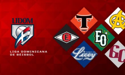 Liga de Béisbol Profesional de la República Dominicana (LIDOM)