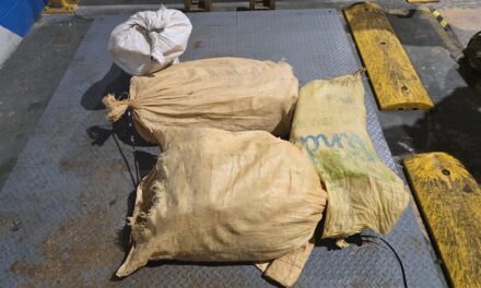 Amo, Guardia Costera Interdicte el contrabando de buques 282 libras de cocaína; 4 hombres de la República Dominicana arrestados