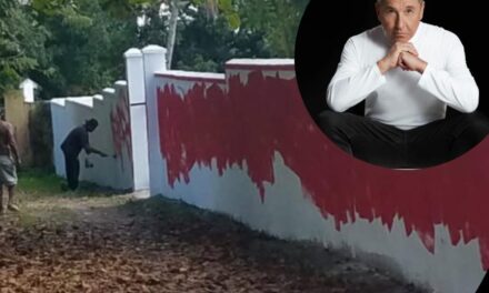 Ricardo Montaner denuncia vandalismo a su casa en Samaná