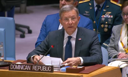 Canciller insta a frenar tráfico de armas a pandillas en Consejo de ONU