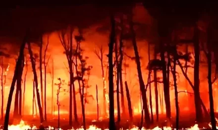 La NBA pospone el partido entre Lakers y Hornets por los incendios forestales en el ámbito de Los Ángeles