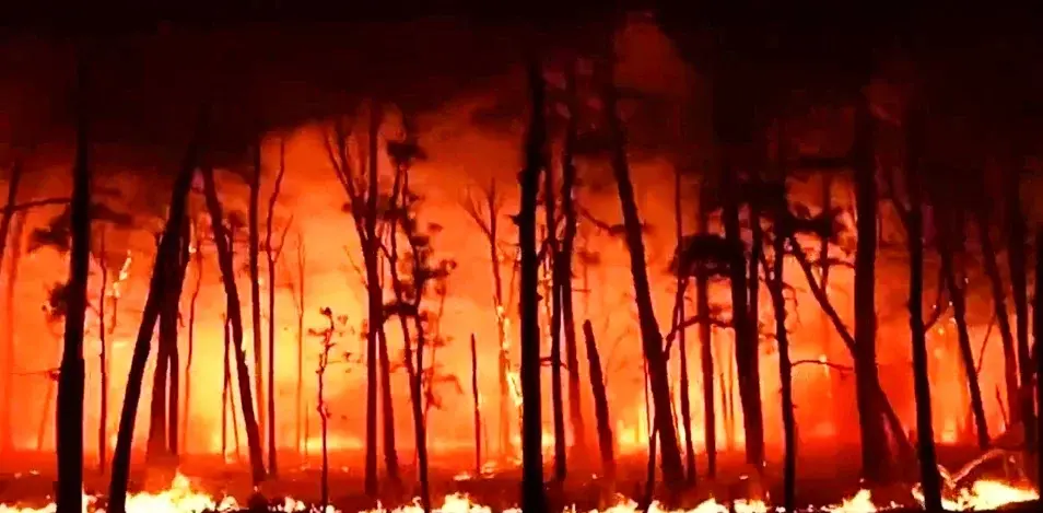 La NBA pospone el partido entre Lakers y Hornets por los incendios forestales en el ámbito de Los Ángeles