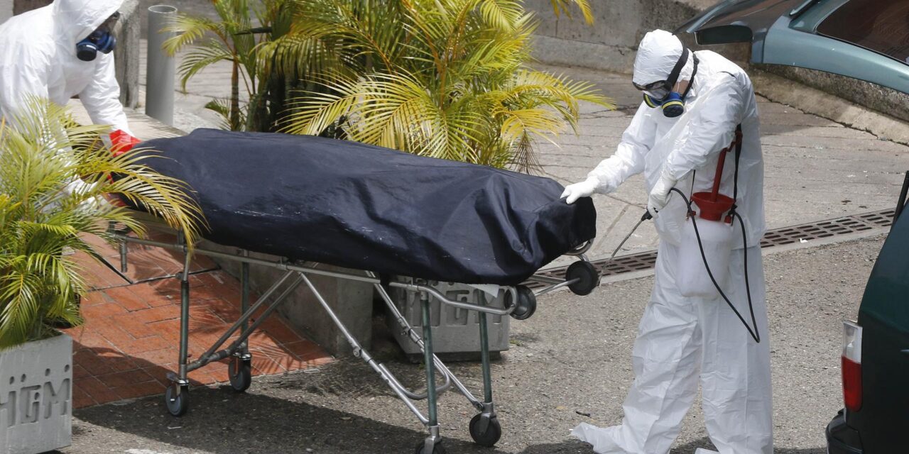 Se cumplen 5 primaveras del primer aviso urgente de Whuman para el tratamiento de una 'pulmonía de causa desconocida'