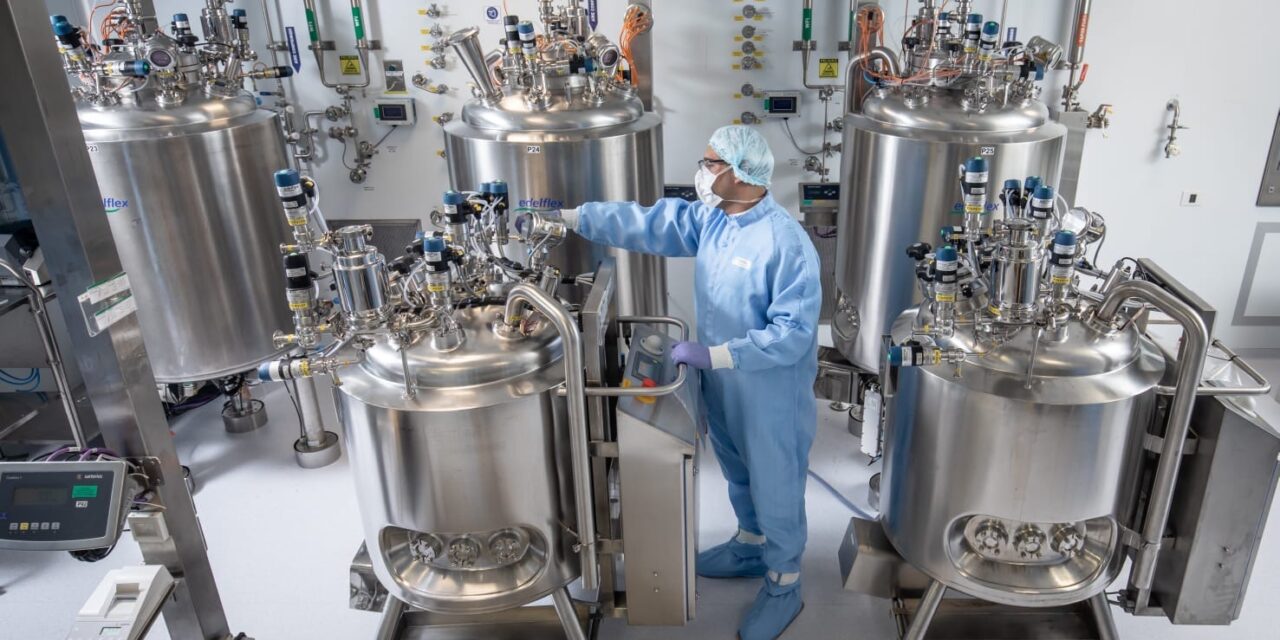 Anuncian colaboración entre OPS, Pfizer y Sinergium para mejorar la producción y el ataque a vacunas en la región