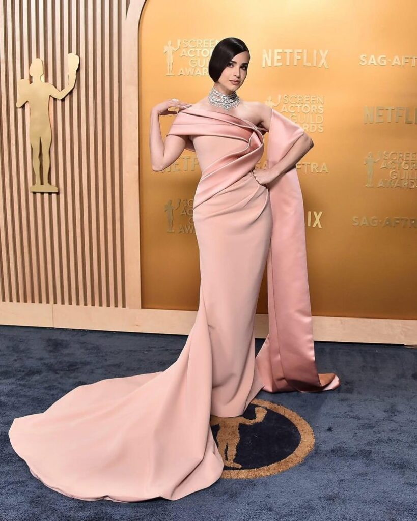 Desbordando glamour y elegancia, comience los premios SAG 13 Glamour y elegancia desbordantes, comience la alfombra de los premios SAG | Último minuto