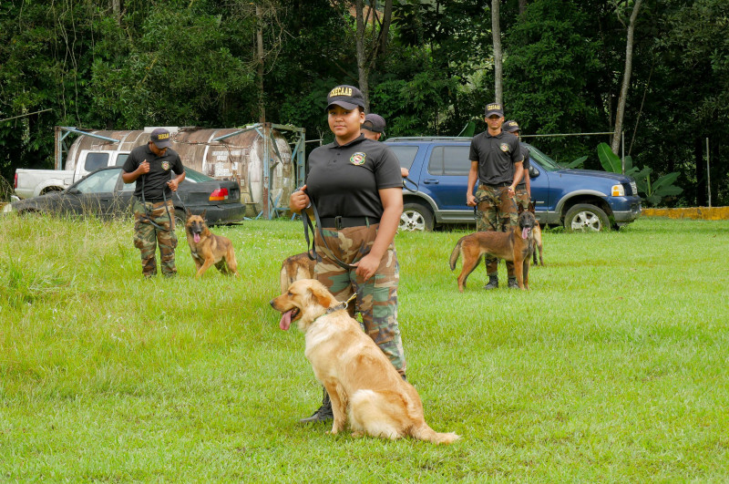 DNCD fortalece los esfuerzos antidrogas con 55 nuevas unidades caninas
