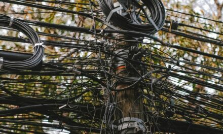 Edeeste elimina las conexiones ilegales