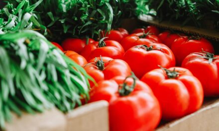 Inpre para expandir las ventas de alimentos de bajo costo en 2025