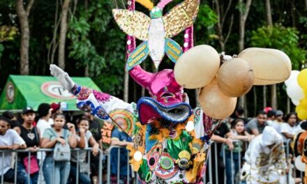 «Carnaval de Santiago: un segundo domingo exitoso»