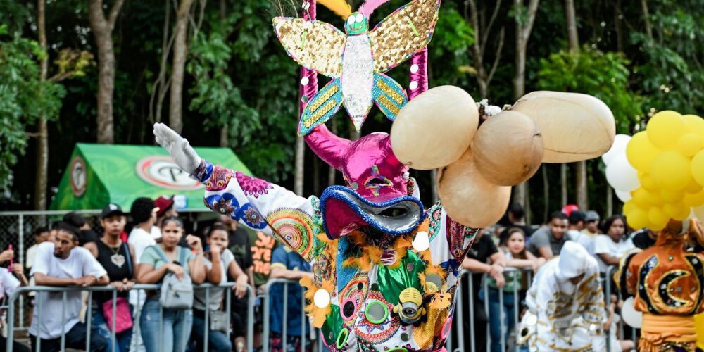 «Carnaval de Santiago: un segundo domingo exitoso»
