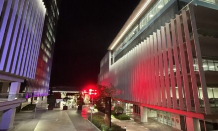 Tegucigalpa honra la independencia dominicana con rascacielos iluminados