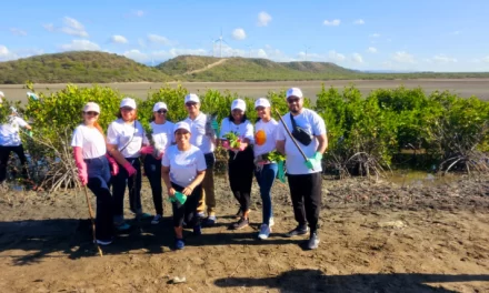 Tres mil manglares rojos plantados en Bani para proteger el ecosistema costero