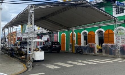 Refinan los detalles del aparición del carnaval vegano