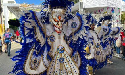 Le piden a la UNESCO que declare la herencia de carnaval vegano de la humanidad