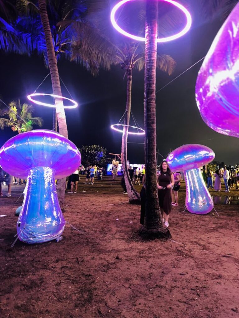 Galería: moda, estilo y personalidad desbordantes miles de personas llegan al festival de la Isla de la Luz | Último minuto