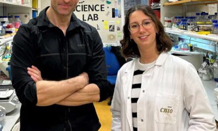 Los científicos revelan la secreto para impulsar la regeneración del hígado posteriormente de un daño agudo