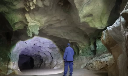 una batalla entre empresas y ambientalistas