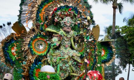 El Ministerio de Cultura anuncia a los ganadores del Carnival Parade 2025