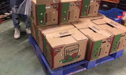 Las autoridades se apoderan de 259 libras de carne de tortuga en en peligro