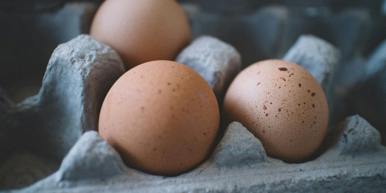 República dominicana exporta más de 30 millones de huevos a Cuba