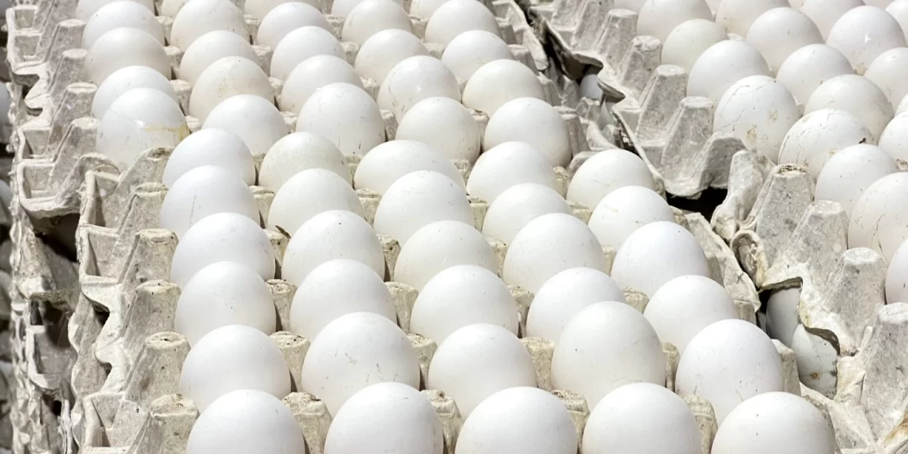 Exportaciones de la República Dominicana en Agricultura: US $ 84.3b