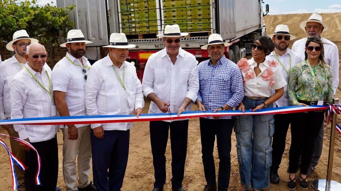 Dominicana República envía la primera mesa de exportación de uva a nosotros