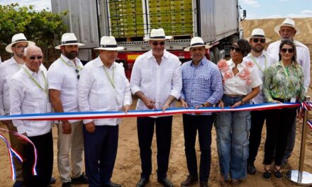 Dominicana República envía la primera mesa de exportación de uva a nosotros