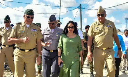 Las autoridades supervisan las operaciones de control en matamosquito