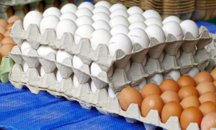 El país produce 340 millones de huevos por año