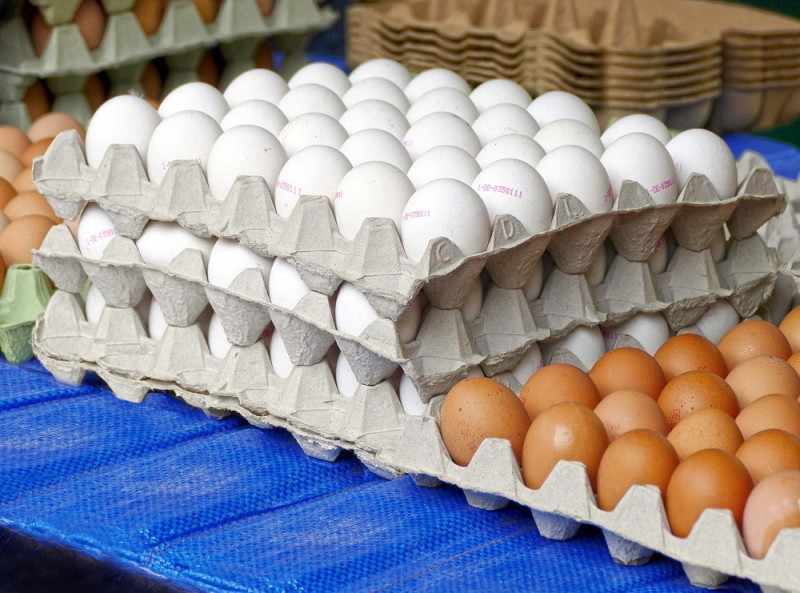 El país produce 340 millones de huevos por año