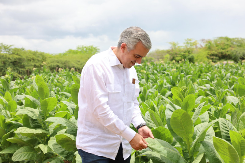 El tabaco dominicano se exporta a 148 países.