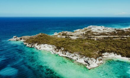 Flujo turístico argentino a Punta Cana Soars adecuado al tipo de cambio oportuno en dólares
