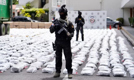 Las autoridades interceptan el pedido de hierba registrado más holgado en la República Dominicana