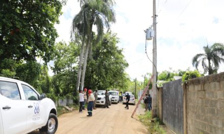 Las autoridades lideran operativas contra el fraude eléctrico en SDE