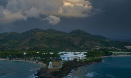 una ingenuidad que no se puede ignorar