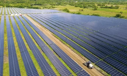 Necesitamos trabajar en coordinación y almacenamiento renovable.