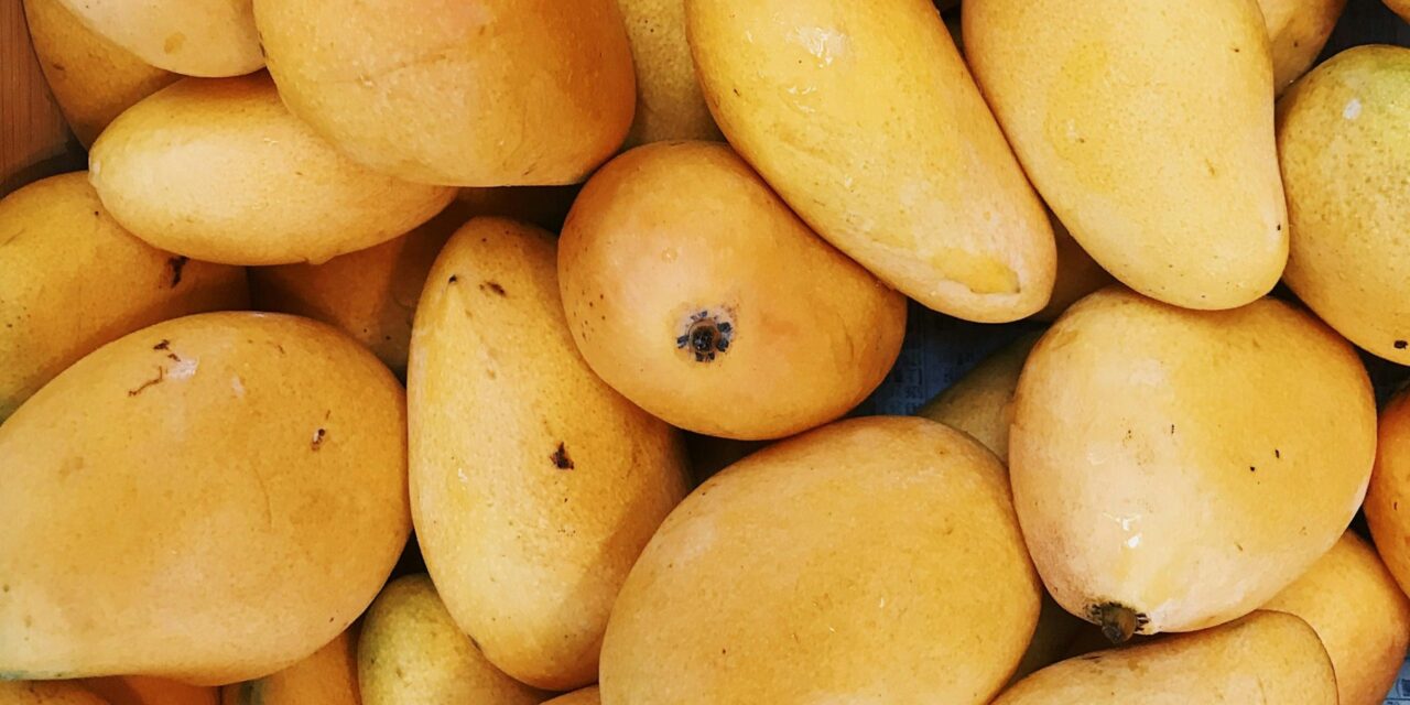 Cientos se reúnen para disfrutar de la feria de mango 2025