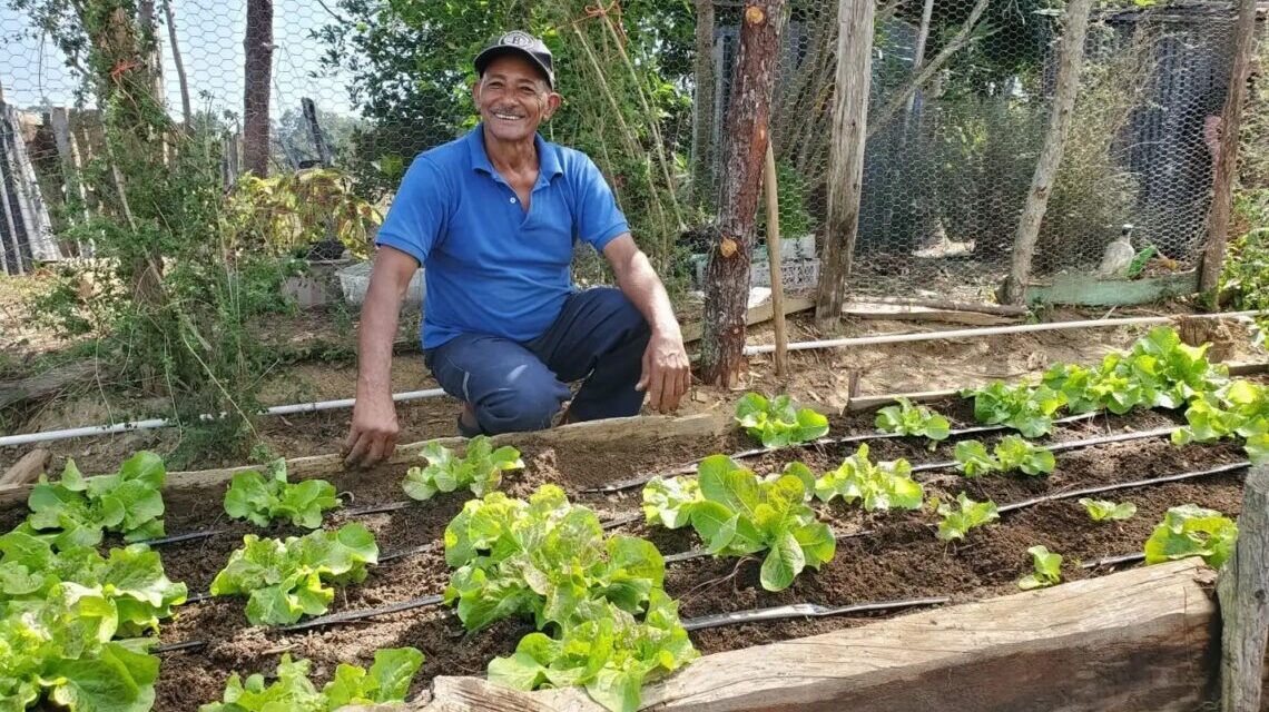 La República Dominicana enfrenta la pérdida de bosques y el cultivo de crisis acuática en las zonas rurales