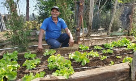 La República Dominicana enfrenta la pérdida de bosques y el cultivo de crisis acuática en las zonas rurales