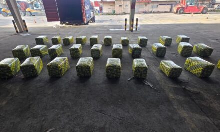 Las autoridades guatemaltecas confiscaron el emisión de hierba con destino a la República Dominicana