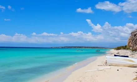 Los expertos instan al avance ambientalmente responsable en Cabo Rojo