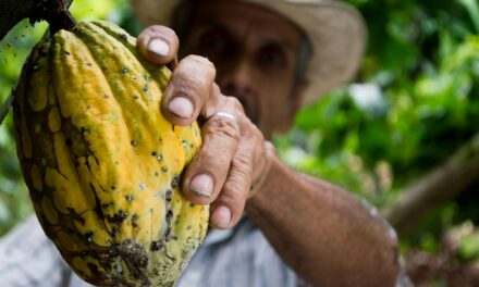 Los precios internacionales de jaleo aumentan en mayo de 2025