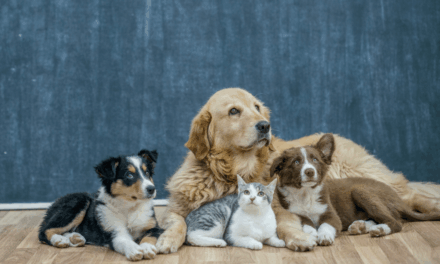 La ciencia detrás de por qué las mascotas se parecen a sus dueños