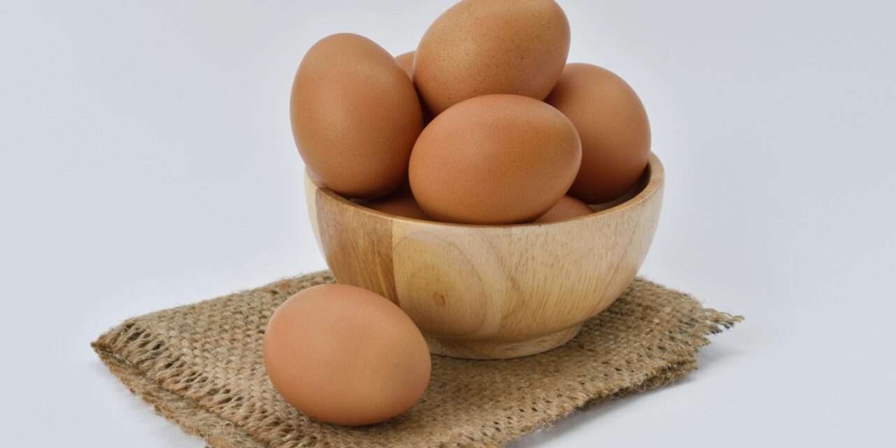 República dominicana lidera el Caribe en las exportaciones de huevos